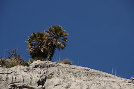 DSC02185_t.JPG