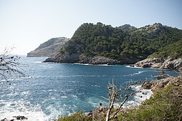 DSC02284_t.JPG