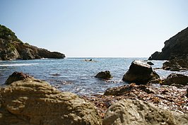 DSC02293_t.JPG