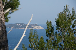 DSC02309_t.JPG