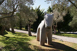 DSC02564_t.JPG