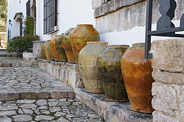 DSC02596_t.JPG