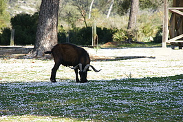 DSC02648_t.JPG