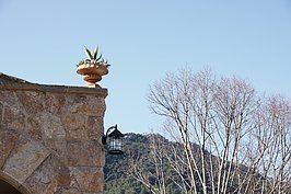 DSC02712_t.JPG