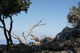 DSC02754_t.JPG