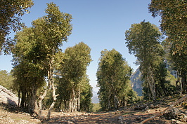 DSC02780_t.JPG