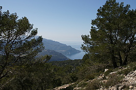 DSC02783_t.JPG