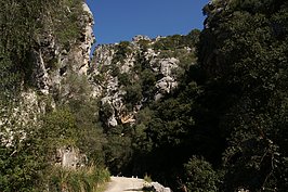 DSC02896_t.JPG