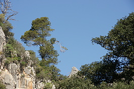 DSC02902_t.JPG