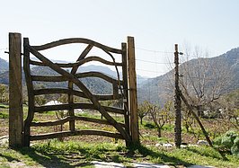 DSC02967_t.JPG