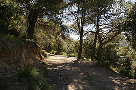 DSC03204_t.JPG