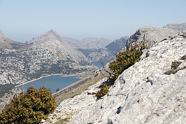 Bernhard Saalfeld - DSC03252