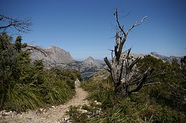 Bernhard Saalfeld - DSC03270