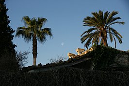 DSC02252_t.JPG
