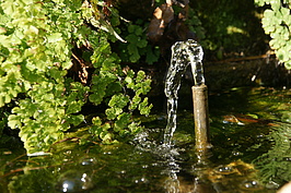 DSC02272_t.JPG