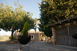 DSC02522_t.JPG