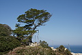 Bernhard Saalfeld - DSC02069.JPG