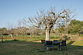 Bernhard Saalfeld - DSC02267.JPG