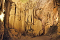 Bernhard Saalfeld - DSC02495.JPG