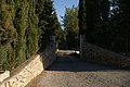 Bernhard Saalfeld - DSC02519.JPG