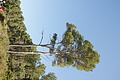 Bernhard Saalfeld - DSC02619.JPG
