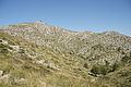 Bernhard Saalfeld - DSC02633.JPG