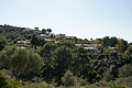 Bernhard Saalfeld - DSC02646.JPG