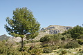 Bernhard Saalfeld - DSC02647.JPG