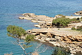 Bernhard Saalfeld - DSC02653.JPG