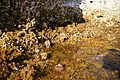 Bernhard Saalfeld - DSC02690.JPG