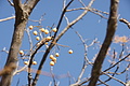 Bernhard Saalfeld - DSC02703.JPG