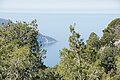 Bernhard Saalfeld - DSC02729.JPG