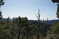 Bernhard Saalfeld - DSC02737.JPG