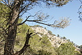 Bernhard Saalfeld - DSC02843.JPG