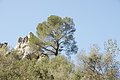 Bernhard Saalfeld - DSC02892.JPG