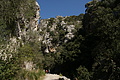 Bernhard Saalfeld - DSC02893.JPG