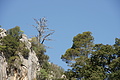 Bernhard Saalfeld - DSC02901.JPG