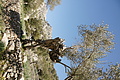 Bernhard Saalfeld - DSC02917.JPG