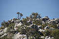 Bernhard Saalfeld - DSC02955.JPG