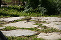 Bernhard Saalfeld - DSC02960.JPG