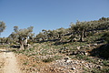 Bernhard Saalfeld - DSC03045.JPG