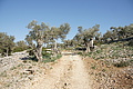 Bernhard Saalfeld - DSC03046.JPG