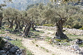 Bernhard Saalfeld - DSC03051.JPG