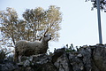 Bernhard Saalfeld - DSC03064.JPG