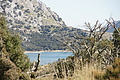 Bernhard Saalfeld - DSC03159.JPG