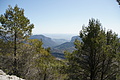 Bernhard Saalfeld - DSC03224.JPG
