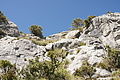 Bernhard Saalfeld - DSC03235.JPG
