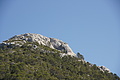Bernhard Saalfeld - DSC03286.JPG