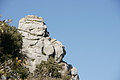 Bernhard Saalfeld - DSC03297.JPG