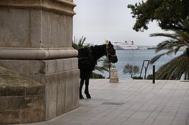 DSC04592_t.JPG